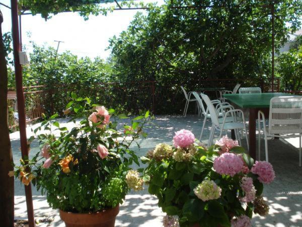 Ferienwohnung Pavlinovic Jure Makarska Exterior foto